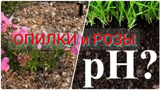 Vlog-101 Можно ли мульчтровать РОЗЫ опилками🌹 где АЗОТ? а какой pH 🤓