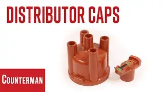 Understanding The Importance of Distributor Caps