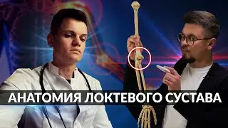 АНАТОМИЯ ЛОКТЕВОГО СУСТАВА | НАСТОЯЩИЙ АНАТОМ