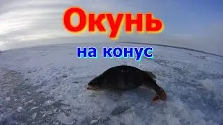 Зимняя рыбалка.Окунь на конус.