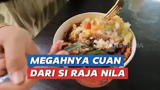 Megahnya Cuan Dari Si Raja Nila  | CUAN BOSS (31/08/24)