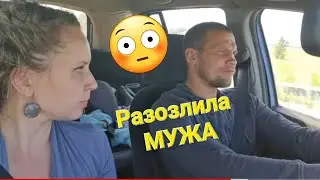 Злой МУЖ 🤪 Сельхоз выставка/Семья Фетистовых