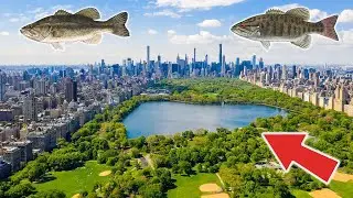 Fishing in Central Park! New York City! (Epic)