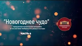 Новогодний концерт коллективов Люберецкого дворца культуры "Новогоднее чудо", часть 6