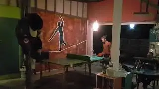 Fun at slacklines hostel