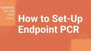 How Do I Set-Up Endpoint PCR?