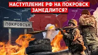 Войска РФ преодолевают от 250 до 500 метров в сутки -  Покровск. Потери РФ при быстром продвижении