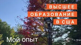 Высшее Образование в США. Стоимость, Мой Опыт, Ошибки и Полезные Советы