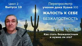 #10. Жалость к себе / Безжалостность / Учение дона Хуана XXI (Цикл 2)