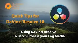 Batch Process your Log Shots in DaVinci Resolve