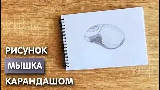 Как нарисовать мышку карандашом | Рисунок для начинающих поэтапно