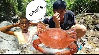 MANGUHA TAH ON MGA CRABS BAH...!! KAY ATONG SUD ANON..!!SABAWON..!!