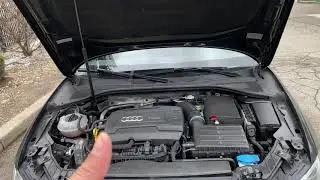 Audi A3 – Engine coolant