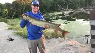 Brushy Creek Lake Iowa -- Big Muskie!