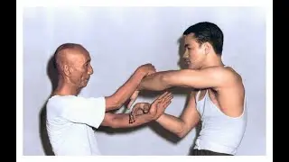 Ip Man (葉問) vs Bruce Lee (李小龍) chi sao (黐手) 3D modeling