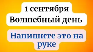 1 сентября - Волшебный день. Напишите на руке всего одну цифру.