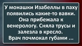 Монашка Изабелла с Вавками у Венеролога! Сборник Изумрудных Анекдотов №17