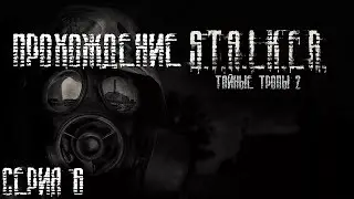 Прохождение S.T.A.L.K.E.R.: Тайные Тропы 2 ➤ 6 серия [Стая снорков]