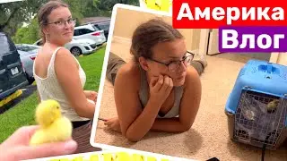 США Валидольный вечер ночь и утро Семейный Влог Большая семья Big big family in the USA VLOG