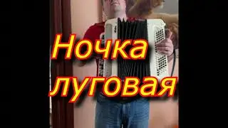 Ночка луговая на баяне от самоучки