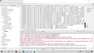 Log4j2 logging in Selenium Java Framework using Log4j2 Properties & Log4j2 xml