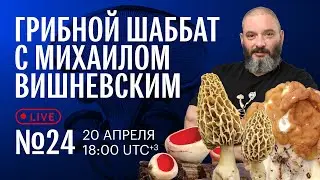 Грибной шаббат №24 вместе с Еленой Александровой. Отвечаем на вопросы