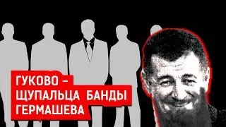 ГУКОВО - ЩУПАЛЬЦА БАНДЫ ГЕРМАШЕВА | Журналистские расследования Евгения Михайлова