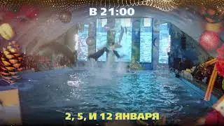 Новогоднее ночное шоу 2, 5 и 12 января