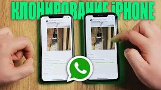 Как СКОПИРОВАТЬ всю историю WHATSAPP на другой iPHONE с ДРУГИМ номером телефона? Без iCloud.