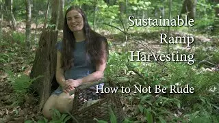 Ramp Harvesting - How and Why to Sustainably Forage for Wild Leeks (aka Dont Be Rude)