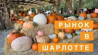 Фермерский Рынок в Шарлотте, Северная Каролина. Где Купить Овощи и Фрукты?