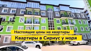 Вариант для сдачи в аренду туристам. Квартиры у моря в Сириус. Купить квартиру в Сочи.