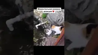 МАМА ВСЕГДА ПОМОЖЕТ