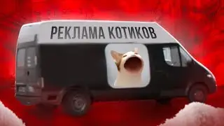 РЕКЛАМА НА😸КОТИКОВ В ЦЕНТРЕ МОСКВЫ