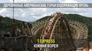 ДЕРЕВЯННЫЕ АМЕРИКАНСКИЕ ГОРКИ БУДОРАЖАЩИЕ КРОВЬ, T EXPRESS, ЮЖНАЯ КОРЕЯ