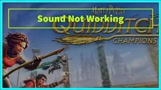 Harry Potter: Quidditch Champions Game Audio / Sound Not Working