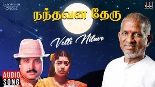 Velli Nilave Song | Nandhavana Theru | Ilaiyaraaja | Karthik | 90s Hits | Tamil Melody Song