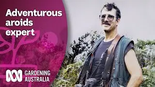 We Meet an Adventurous Aroids Expert | Discovery | Gardening Australia