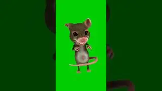 Mouse Dance Animation Green Screen