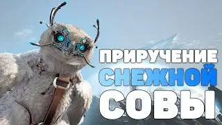 Как приручить снежную сову?! | ARK: Extinction