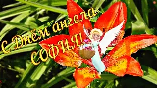 С днем ангела СОФИЯ! Красивое поздравление для Софии, Сони, Сонечки!