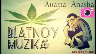 BLATNOY MUZIKA Anasha Анаша 2016  Azeri