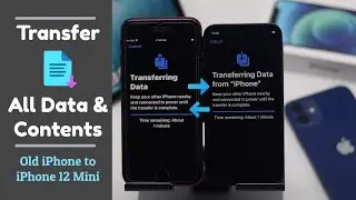 Transfer All Data & Contents from Old iPhone to New iPhone 12 Mini