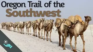 The Oregon Trail of the Southwest | US Camel Corps