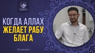 Когда Аллах желает рабу блага