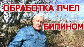 Обработка пчел бипином. И какой же результат?