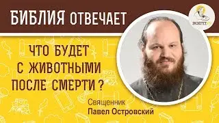 Что будет с животными после смерти?  Библия отвечает. Священник Павел Островский