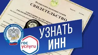 Как узнать ИНН в интернете? Ищем ИНН на сайте Госуслуги без паспорта и на сайте ФНС с паспортом