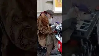 Супер дед и его супер собака 🐕