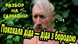 Покохала дідуся . Разбор на гармони